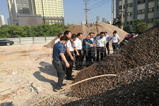 城市建筑垃圾处置新路径 倪虹副部长观摩鼎盛设备运行现场